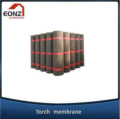 APP-modificeret membran